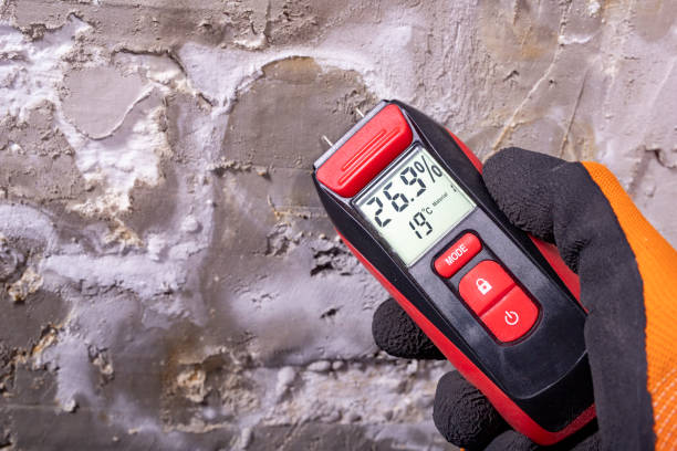 Best Mold Cleaning Services  in Weber City, VA