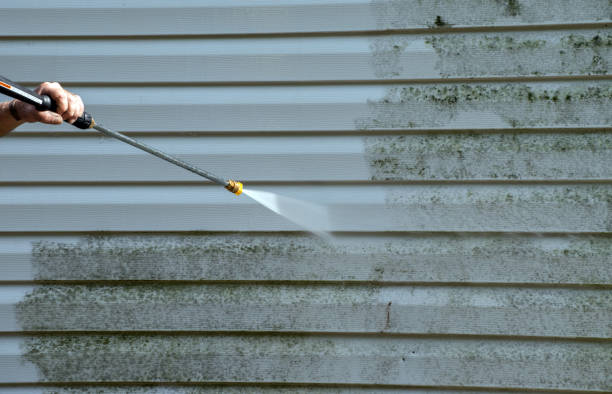 Best Certified Mold Removal  in Weber City, VA