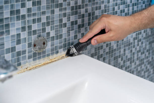 Best Toxic Mold Removal  in Weber City, VA