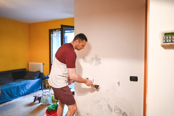 Best Affordable Mold Removal  in Weber City, VA