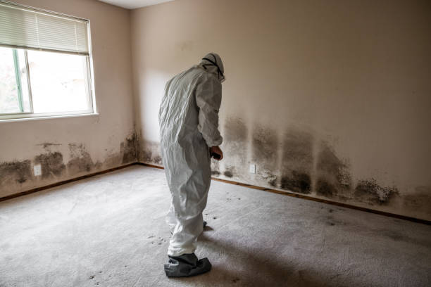 Water Damage Restoration in Weber City, VA